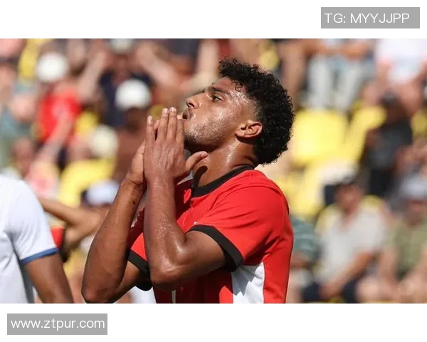 多米尼加足球明星盘点及其在国际赛场上的表现分析